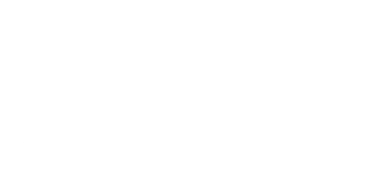 BlackstoneLandside company logo